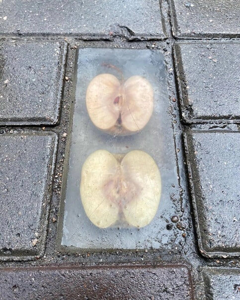 🍏 Ефимова, З