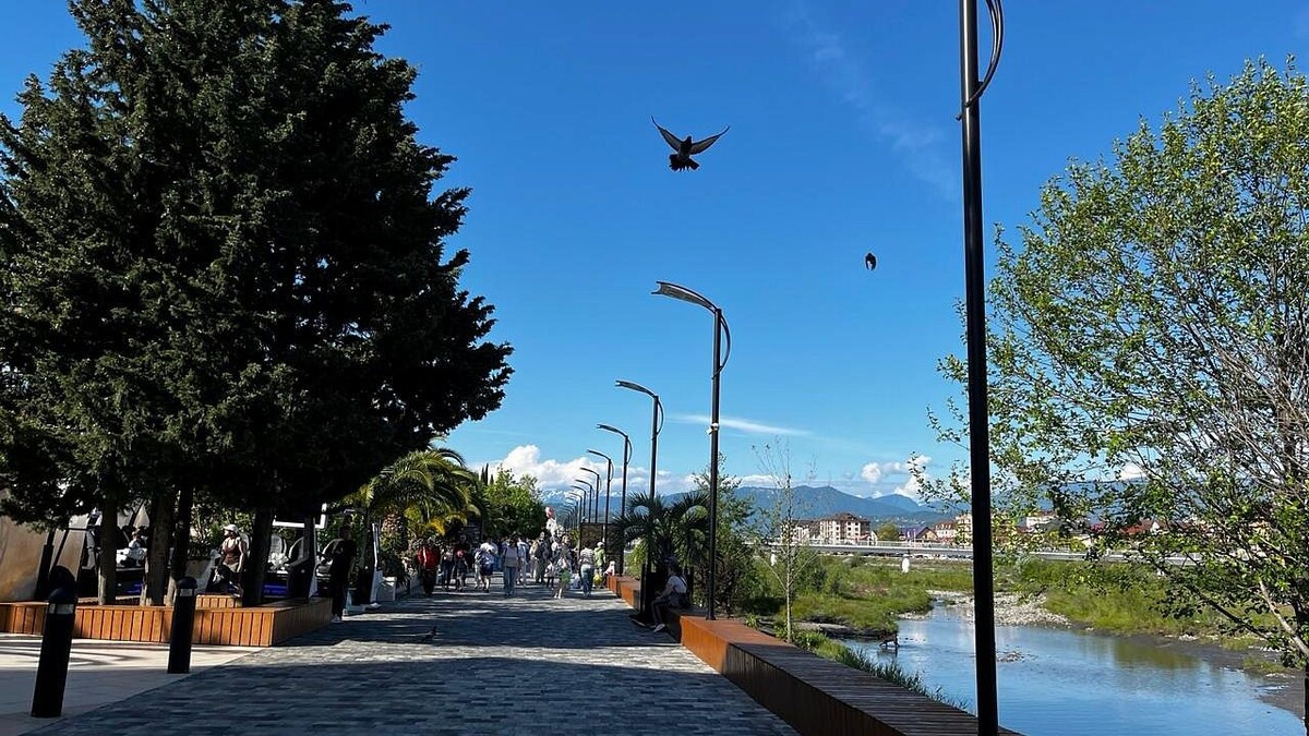    Фото: телеканал «Краснодар»