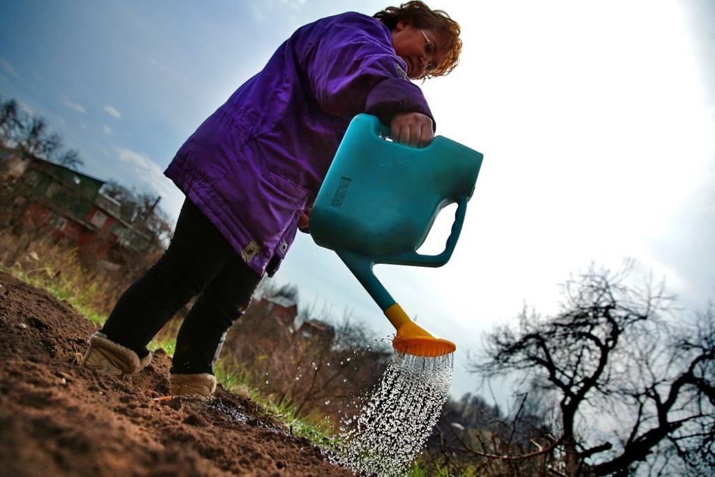    Фото © Владимир Смирнов / ТАСС