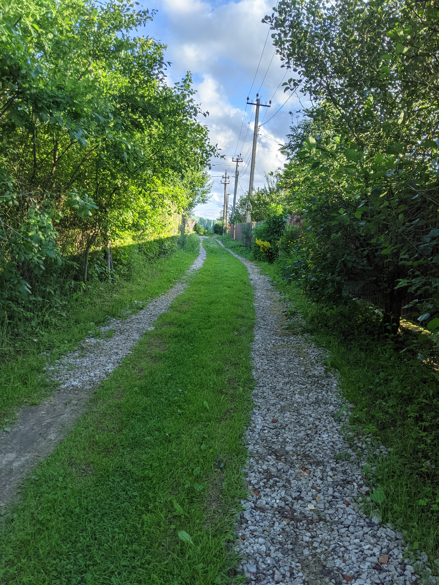 Дорога от нашего участка