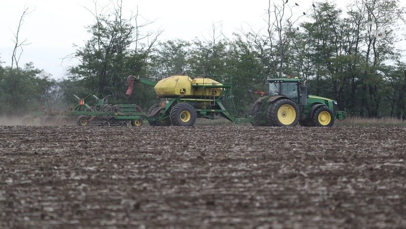    На Ставрополье более 270 млн рублей направили на страхование озимых Фото: Дмитрий Ахмадуллин / / ИА «Победа26»