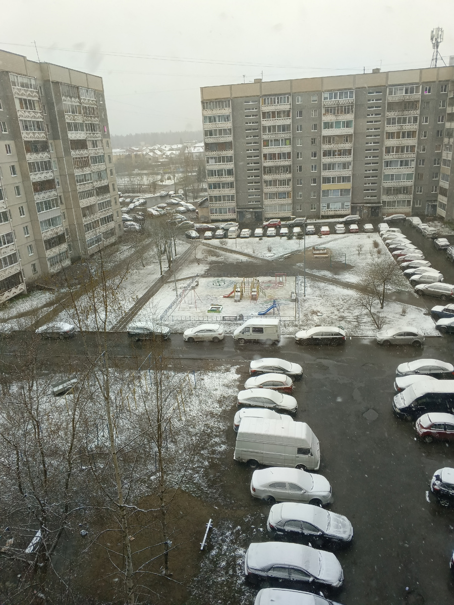 фото автора: с утра снова выпал снег, и это 11 мая