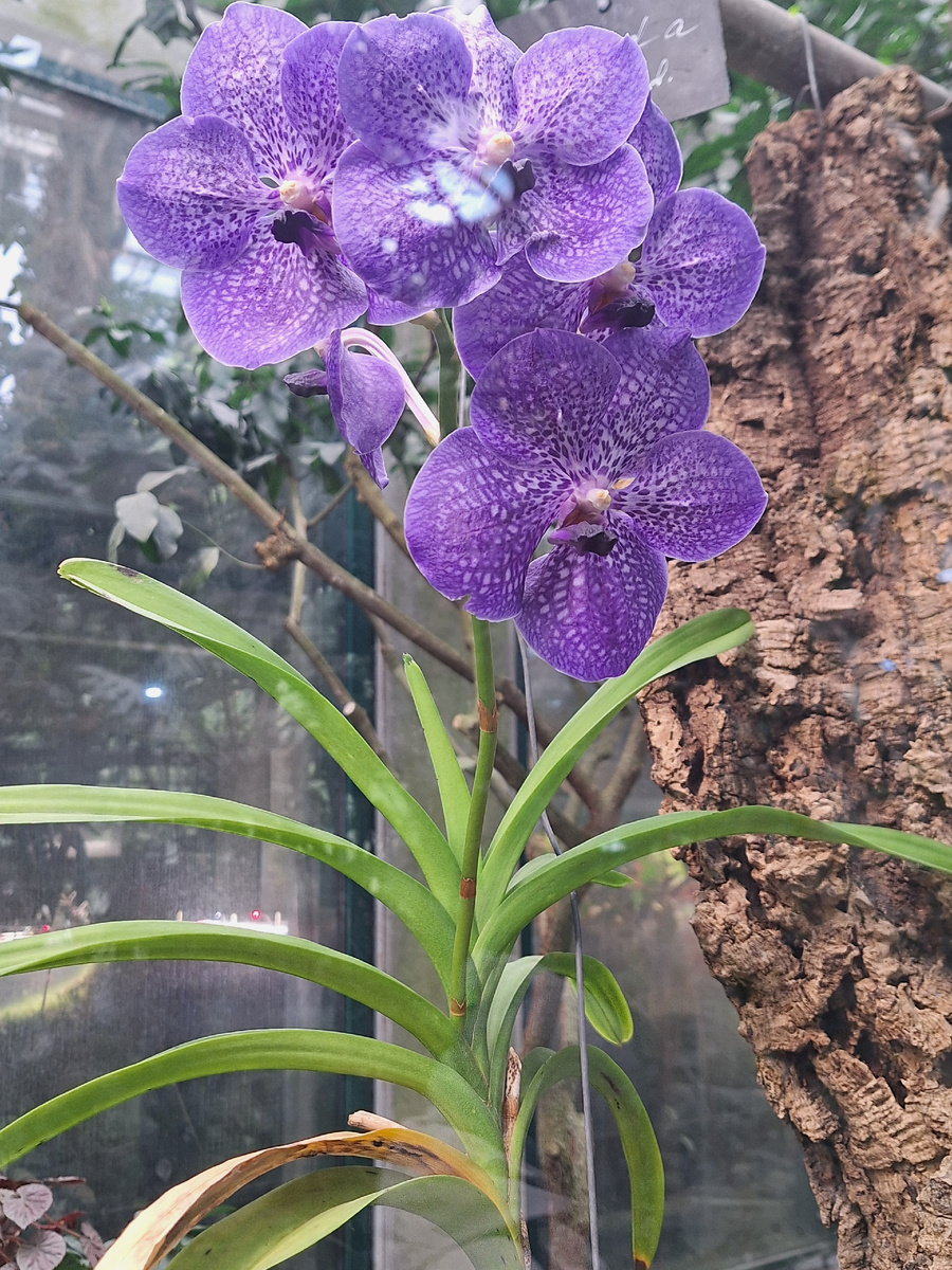 Фото - собственность автора канала.