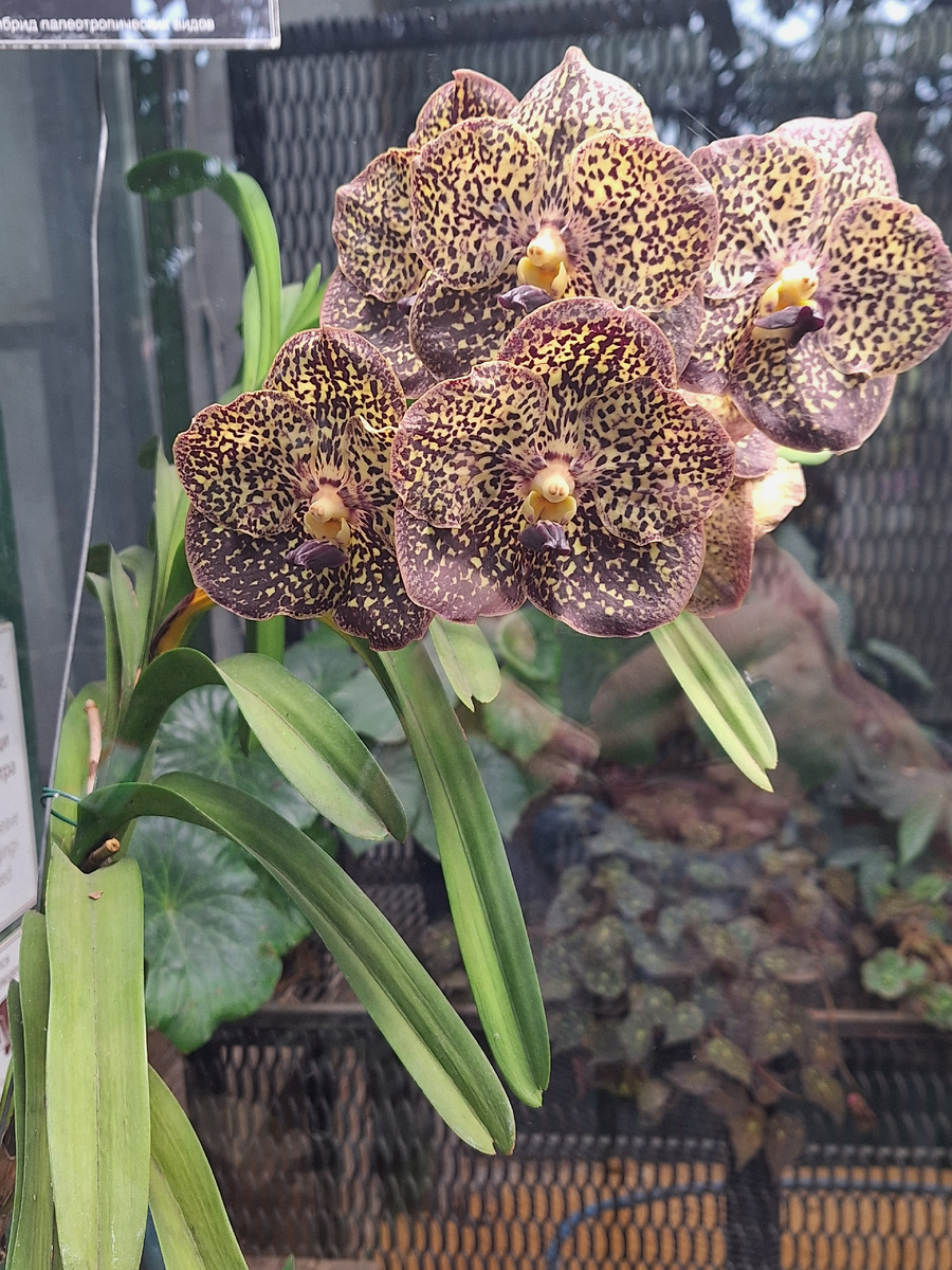 Фото - собственность автора канала.