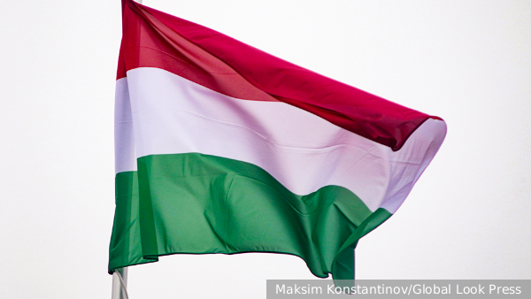     Фото: Maksim Konstantinov/Global Look Press   
 Текст: Дарья Григоренко