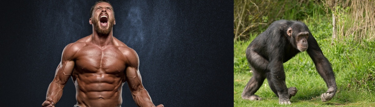 Из свободных источников интернета