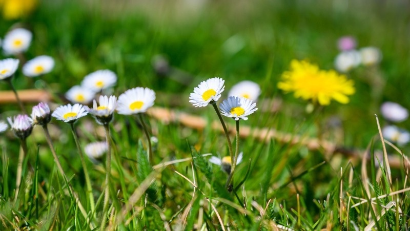 Фото: @wirestock / freepik.com