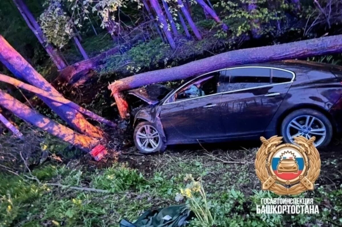    В ДТП с лосем в Башкирии погиб человек и двое пострадали