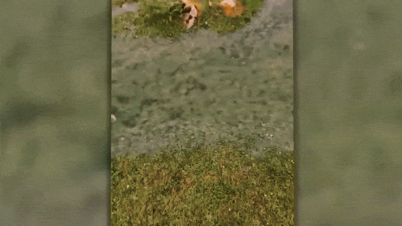 Нравится Формат? Поддержи Канал Лайком и напиши какой эпизод понравился больше всех
