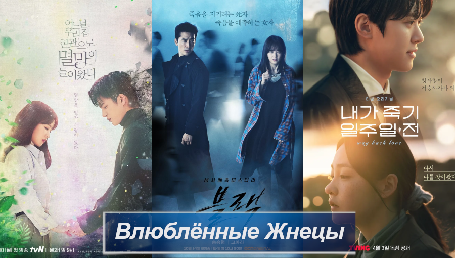 Обложка создана автором