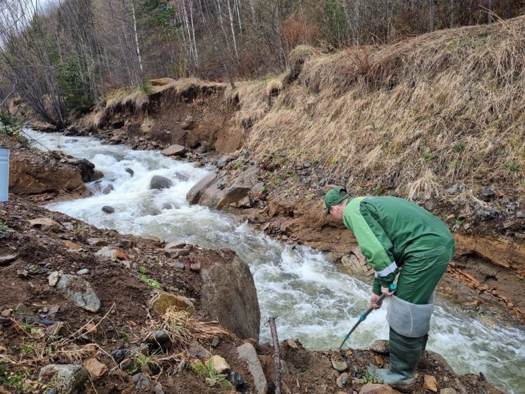    Фото:Минприроды Хакасии Остап Мусаев