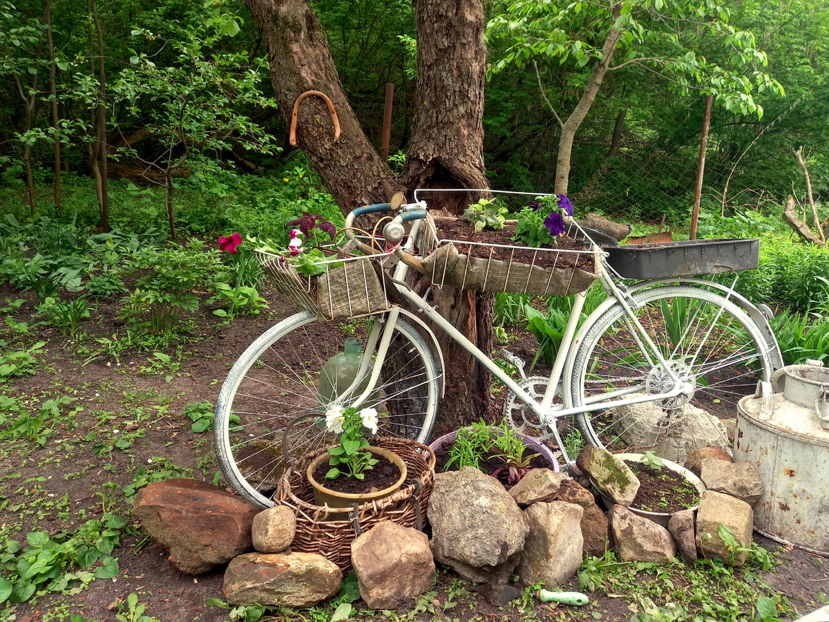 Фото автора 