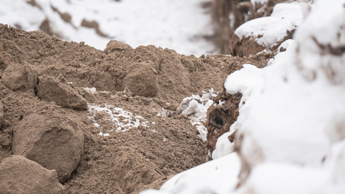    Фото: Ruslan Yarocky/URA.RU/globallookpress.com