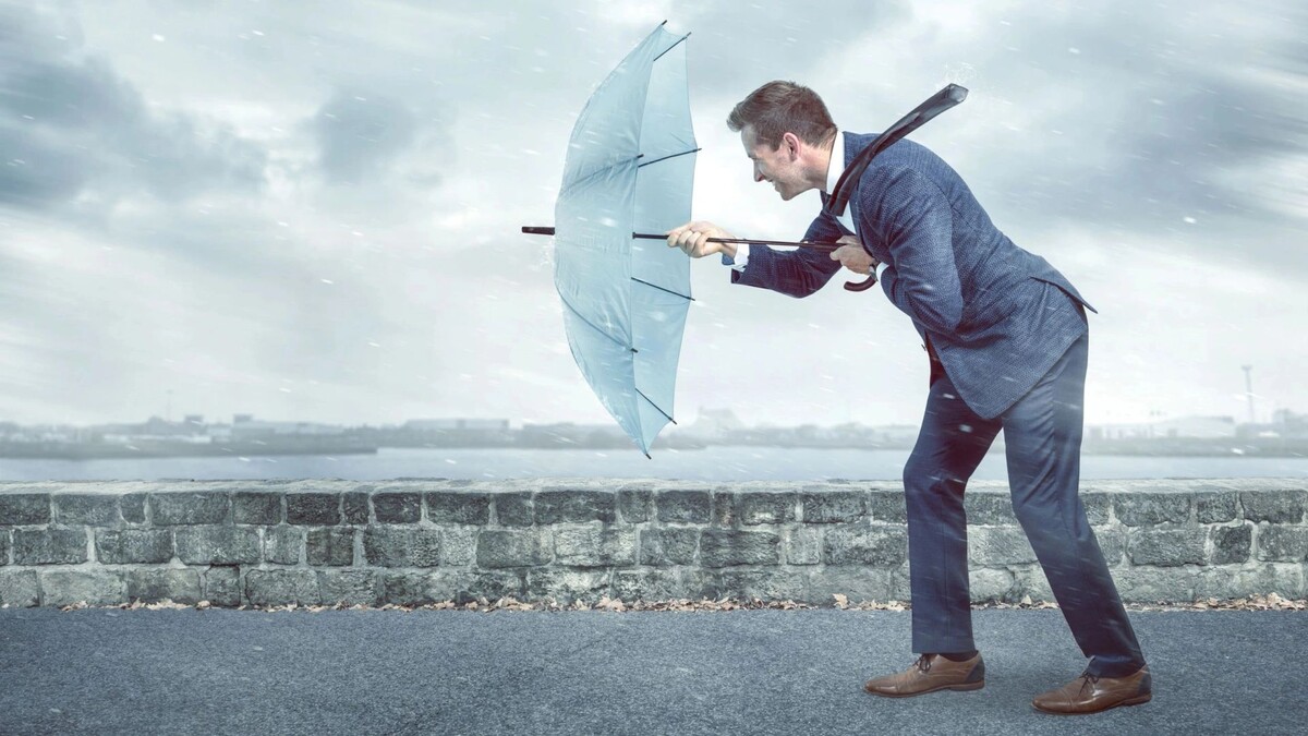    Фото: photoschmidt/Shutterstock/Fotodom