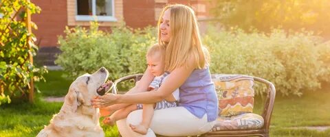 Фото из Яндекс Картинок.