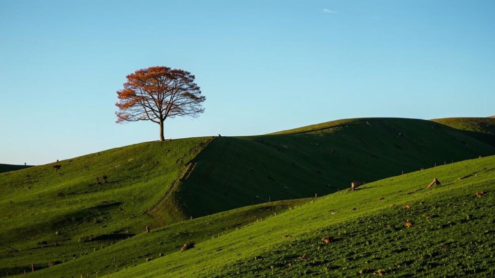    Фото: изображение сгенерировано ИИ