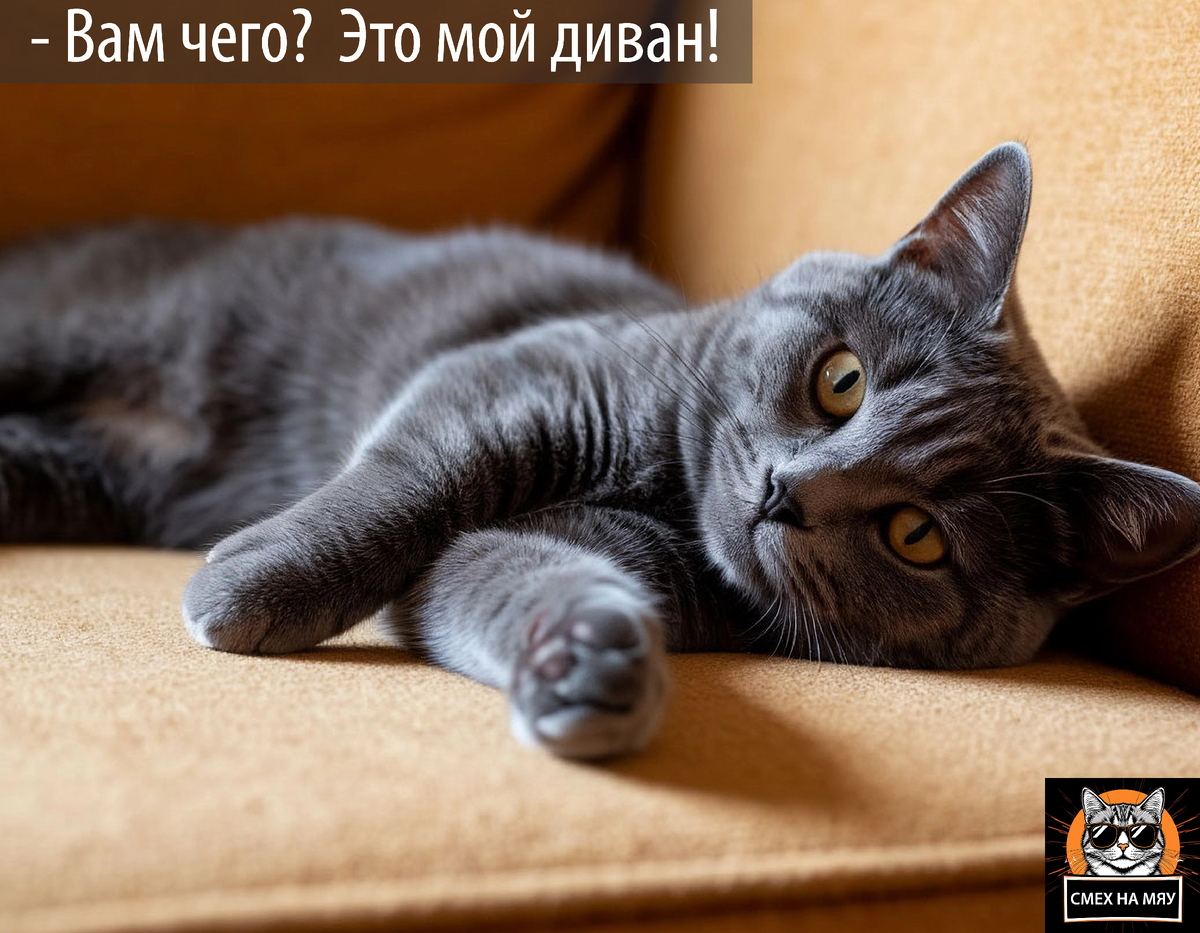 Кто раньше встал, того и тапки!