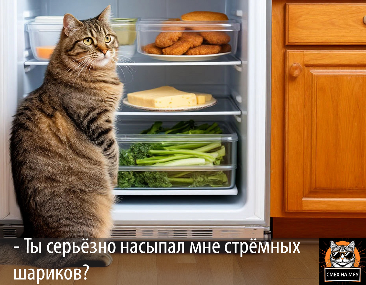 Кот - гурман - вечно голодный попрошайка, всегда недовольный размером порции и качеством подаваемых блюд...😁 