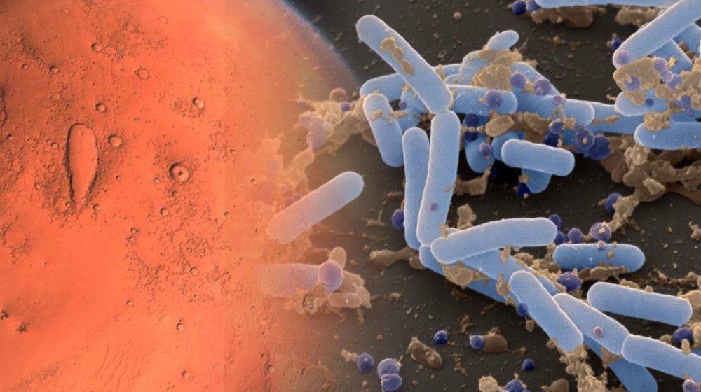    Миссия МАРС-2028 может привезти на Землю смертельный инопланетный вирус