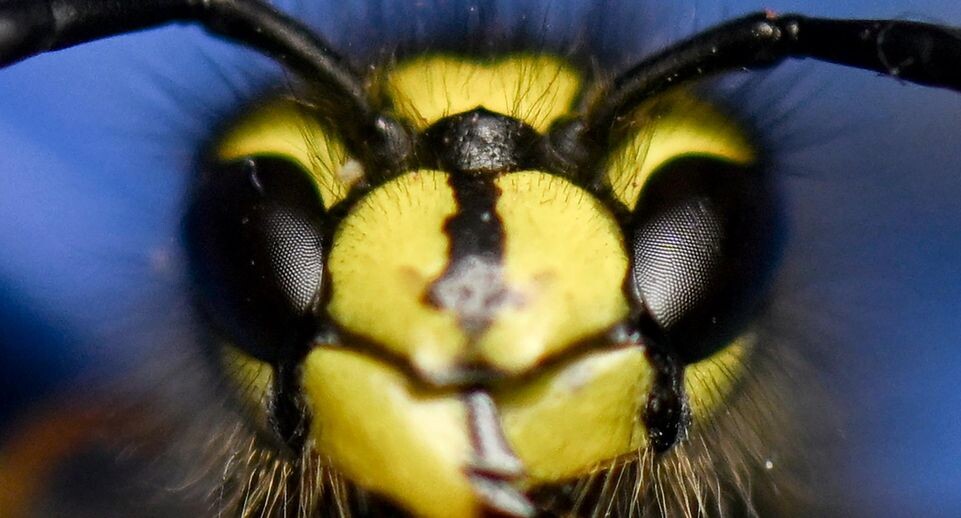    Hendrik Schmidt / www.globallookpress.com