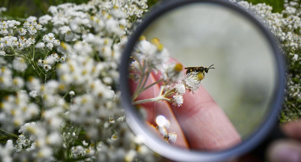    Jens Kalaene / www.globallookpress.com