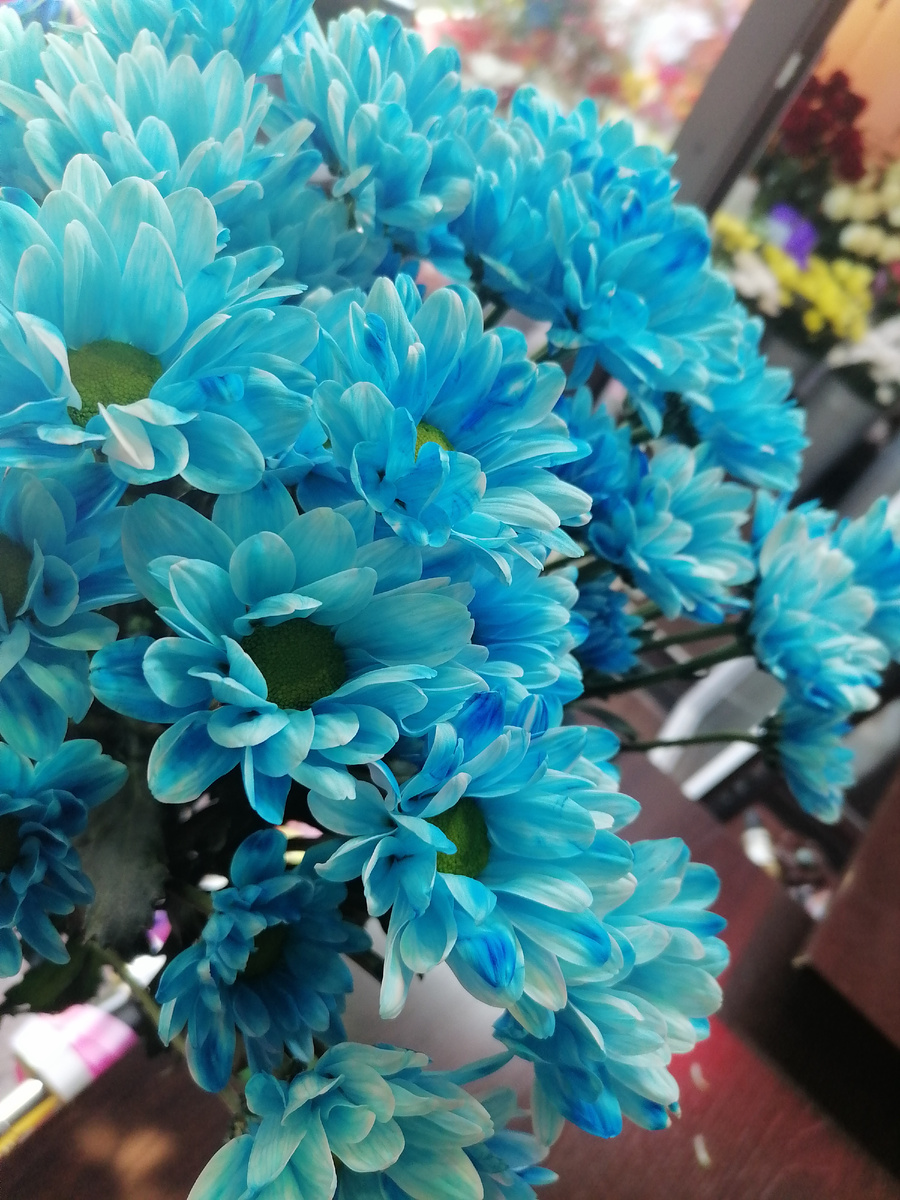 Немного о Цветах!!!