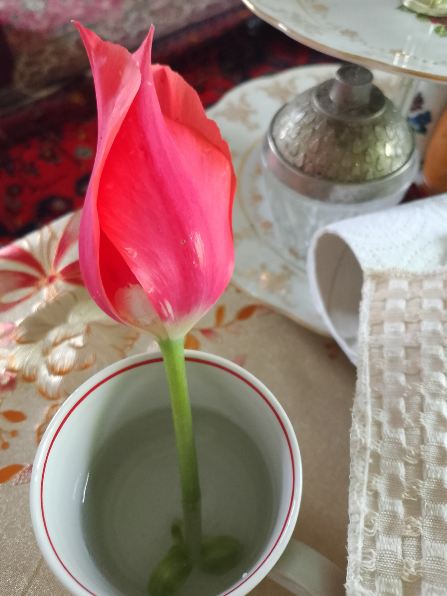 В зале квартиры у Оксаны