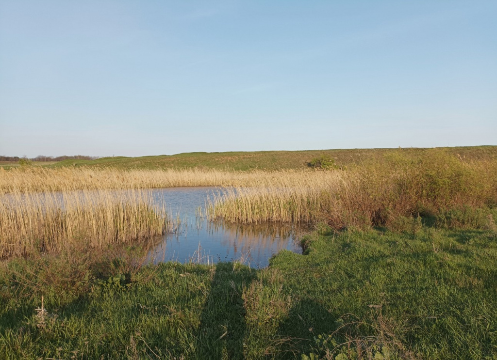    Скриншот 11-05-2025 123317