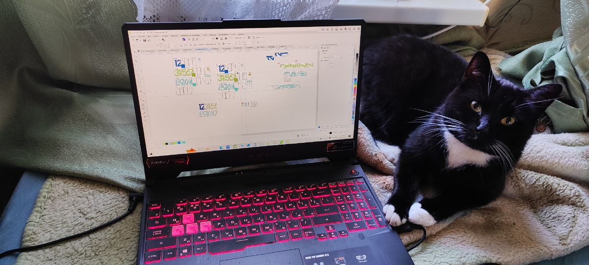 Вот Барсик за работой. 