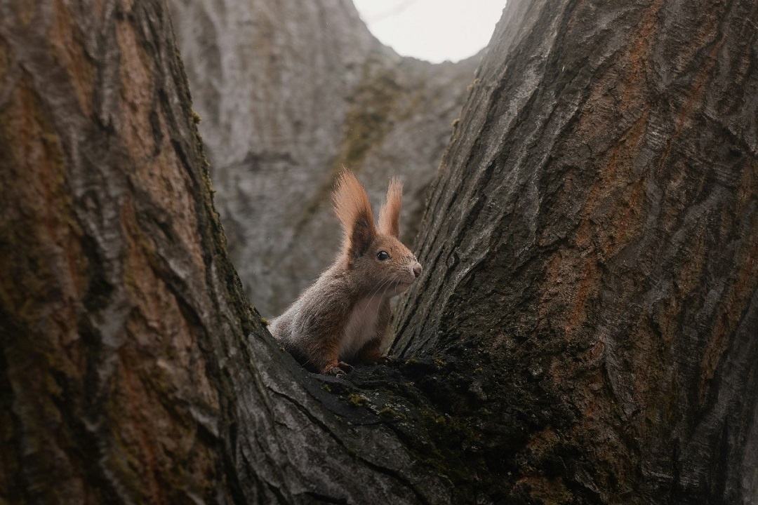 Источник: https://unsplash.com/