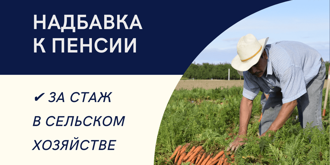 "Что входит в 30-летний стаж сельхозработников, дающий право на получение надбавки к пенсии"