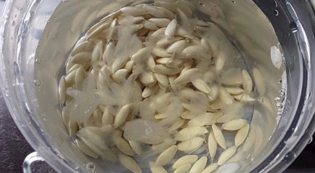 Подготовка семян: замочите семена в тёплой воде на 12 часов.