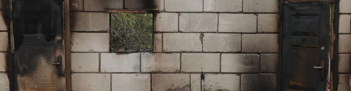    Фото: Антон Вергун