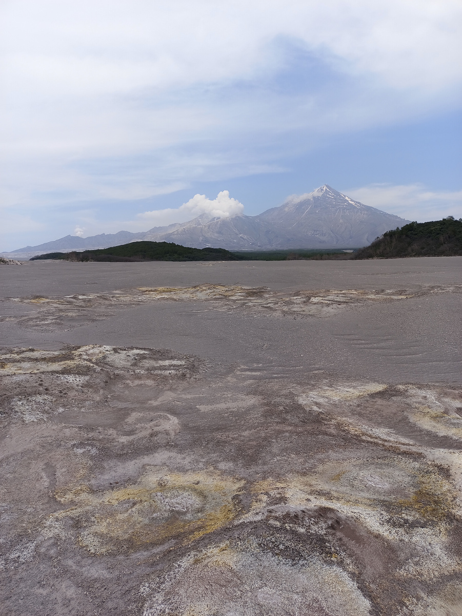 Группа маленьких фумарол, пирокластические отложения 2023 года, вулкан Шивелуч. Фото автора.