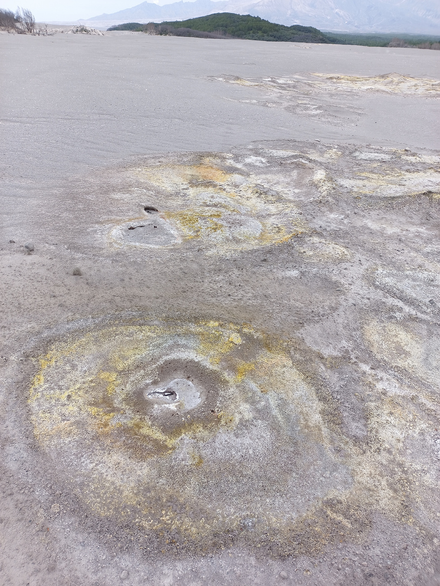 Группа маленьких фумарол, пирокластические отложения 2023 года, вулкан Шивелуч. Фото автора.