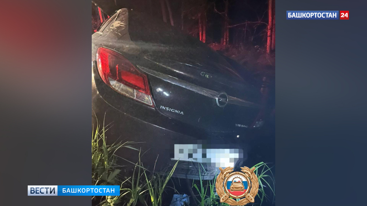    Один человек погиб, двое пострадали в результате наезда машины на лося в Башкортостане