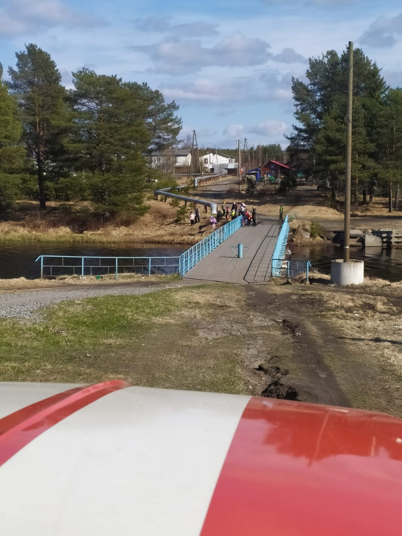    Спасатели Беломорска вытащили из реки собаку бойца СВО ГКУ РК ОПС по Беломорскому муниципальному округу