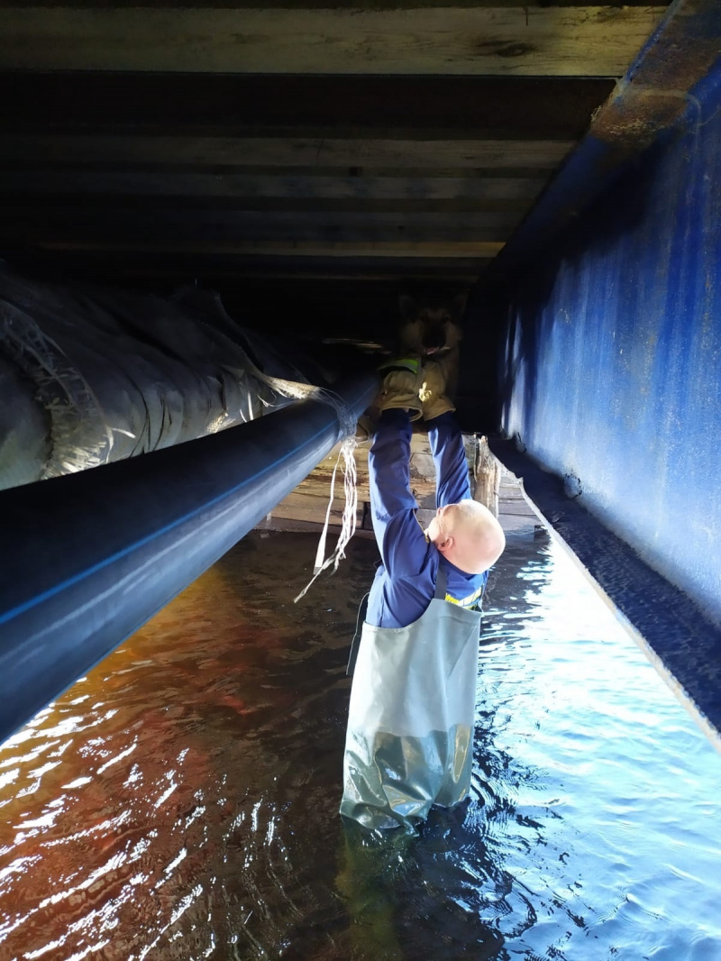    Спасатели Беломорска вытащили из реки собаку бойца СВО ГКУ РК ОПС по Беломорскому муниципальному округу