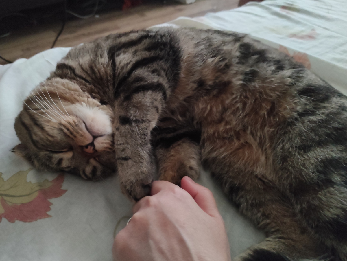 Федя меня поддерживает ❤️даже во сне 