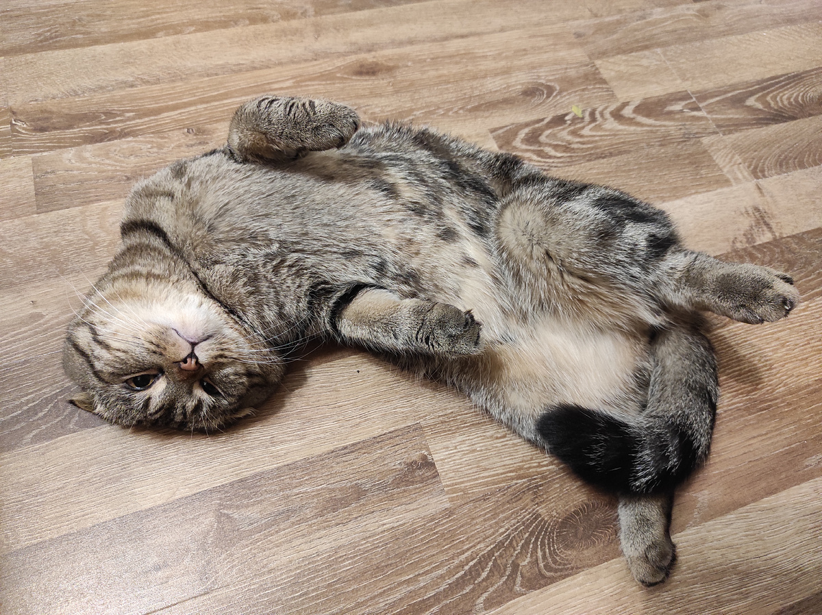 Вот то, что я люблю