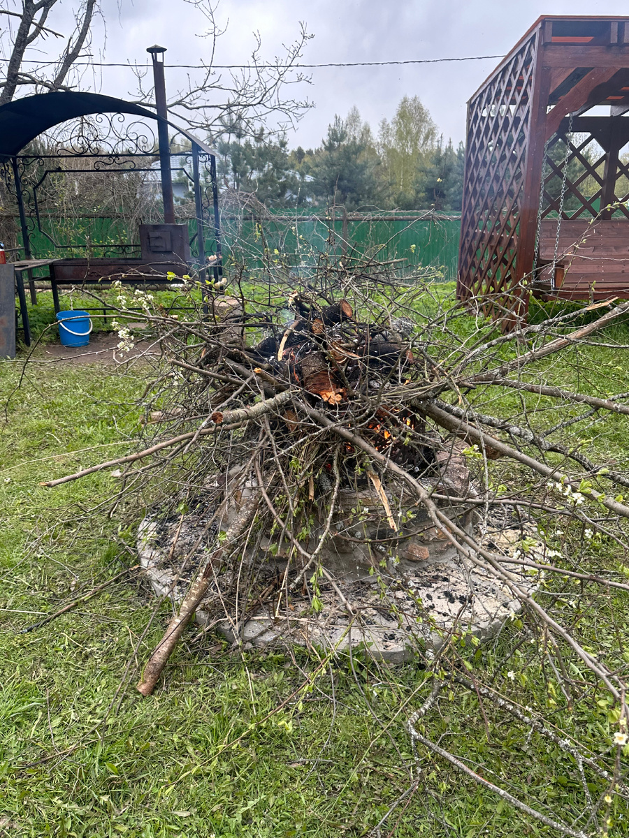 Личное фото