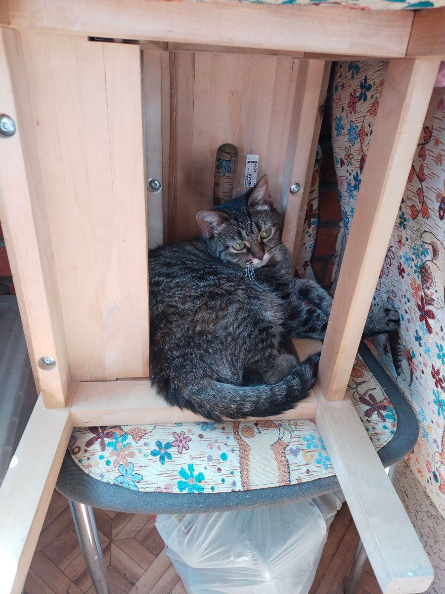 Мебель на балкон переползает, а кому-то - новый домик!