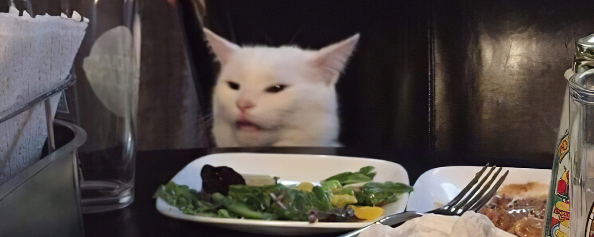 Кот с обложки