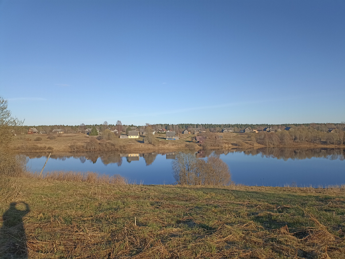 Дер. Казыченская на берегу Ладвинского озера