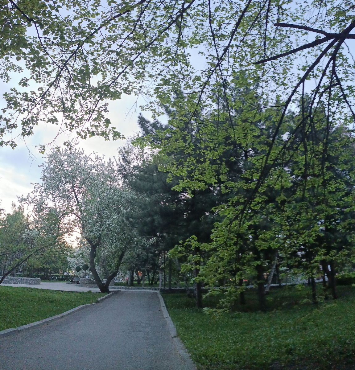 Где-то на просторах моего вечернего, весеннего города. Фотография автора, май 2025 года. 