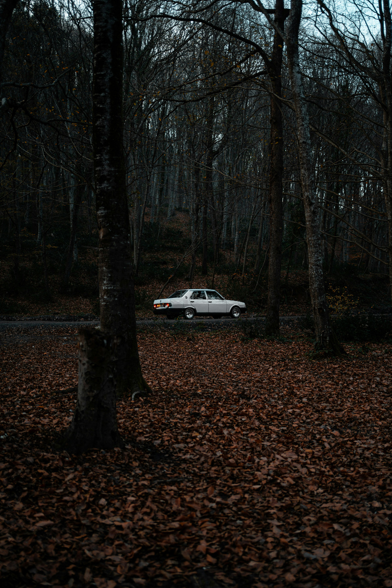 Photo by Mohcen Cherifi on Unsplash