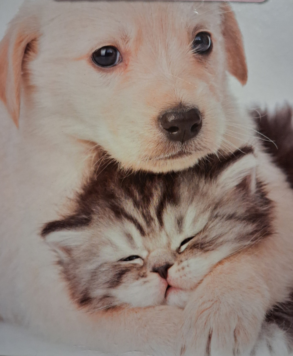 Счастье - лучший университет. Фото автора.