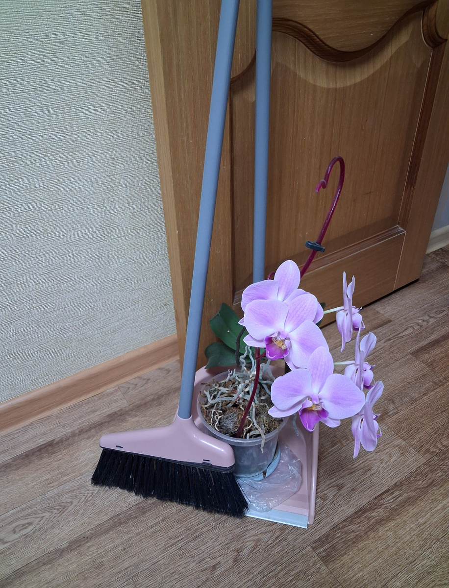 А стоит ли? Фото автора.