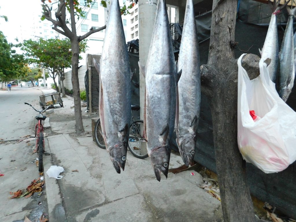    Фото://pxhere.com Диана Огнева