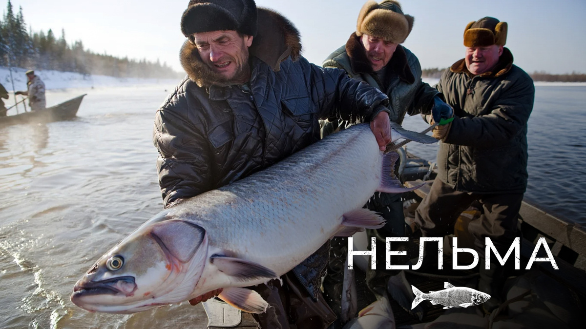 Изображение сгенерировано при помощи ИИ